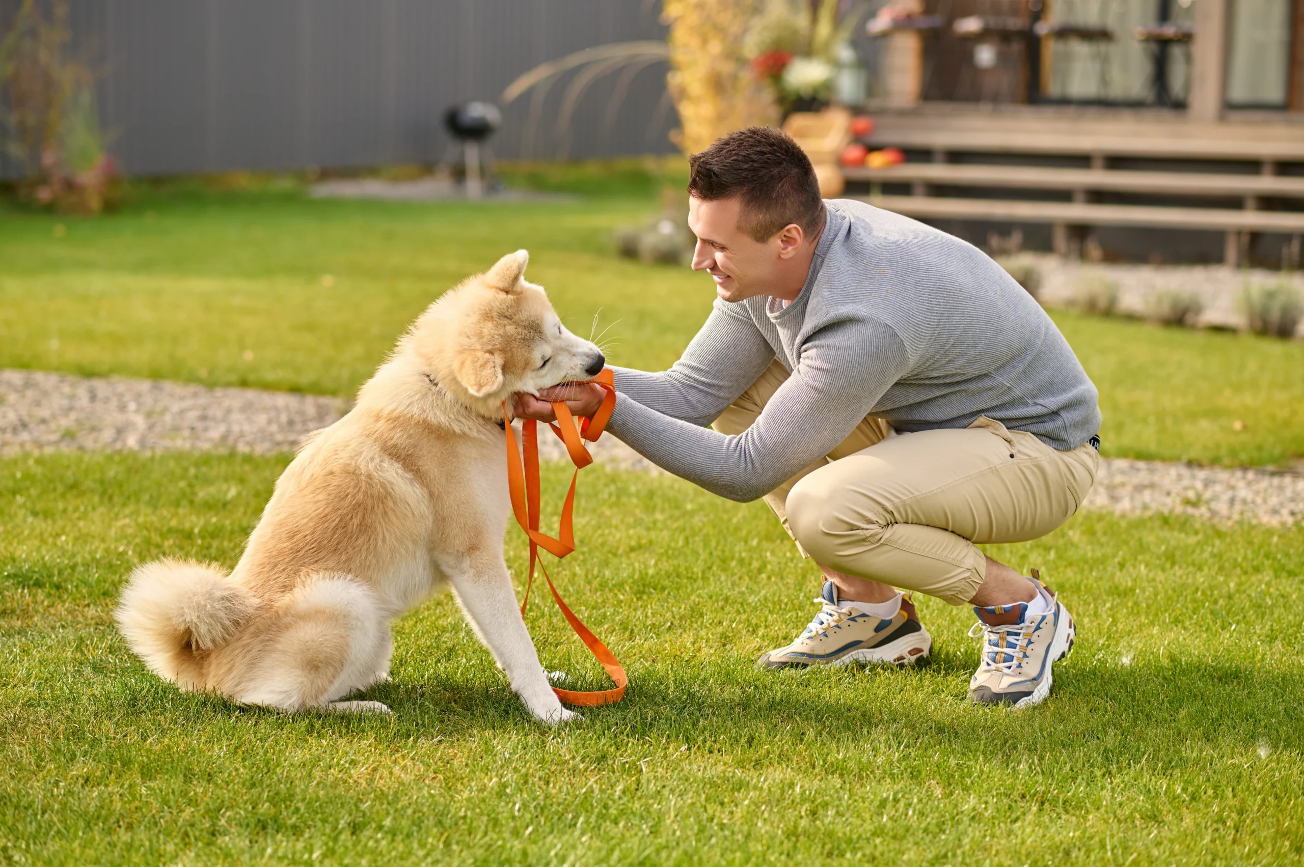 Mann belohnt seinen Hund im Garten mit Blickkontakt und Leine beim ruhigen Leinenführigkeits-Training.